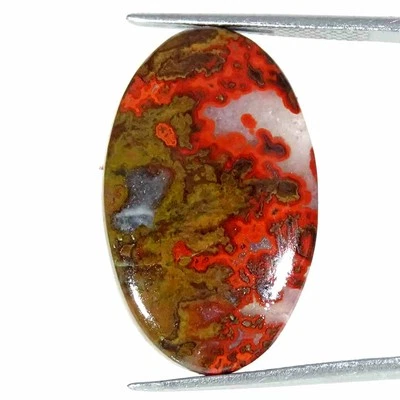 15.90Cts Natural Morocco Seam Agate Oval Cab Loose Gemstone 16x26x4mm - Image 1 of 4