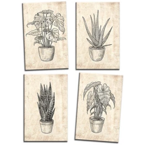 Botanical Illustration Monstera Floral MULTI CANVAS WALL ART Picture Print - Picture 1 of 1