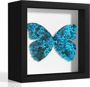 Picrit 5X5 Shadow Box Frame, Display Case Box with High Definition Real Glass an - Picture 1 of 11