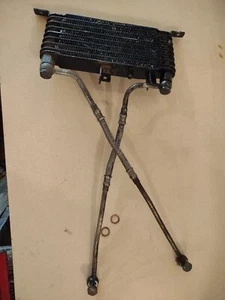 2001 Triumph Sprint 955 Daytona Oil Cooler And Lines - Picture 1 of 3
