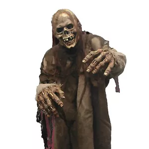Flesh Eater Latex Mask - Morris Costumes - Picture 1 of 1
