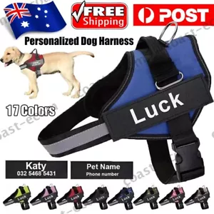 Personalized No Pull Dog Harness with Customizable Name Tag Adjustable Pet Vest - Picture 1 of 31