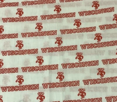 University of Wisconsin Fabric Badgers College Football 24” x 44”W White - Image 1 of 4