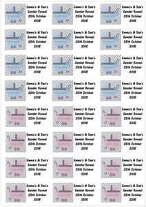 48 Personalised Gender Reveal Stickers Labels Party Bag Sweet Cones Thank You - Picture 1 of 3