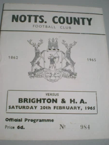 NOTTS COUNTY v BRIGHTON & HOVE ALBION, 20th FEBRUARY 1965,NO WRITING/STAPLES,VGC - Picture 1 of 2