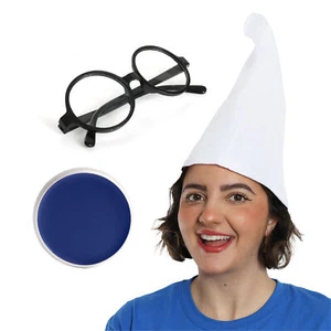 GNOME HAT BLUE FACE PAINT AND GLASSES 70S 80S TV CHARACTER FANCY DRESS COSTUME - Picture 1 of 7