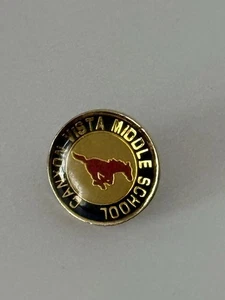 Cravatta spilla bavero scuola media Canyon Vista - Foto 1 di 4