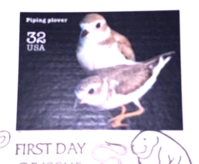 Endangered Species - Piping Plover - 1996 22kt Golden Replicas - Gold Replicas - Image 1 of 4