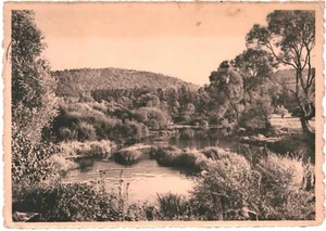 CPA Carte postale Belgique Barvaux-sur-Ourthe L'Ourthe aux environs du Terra VM - Photo 1/2