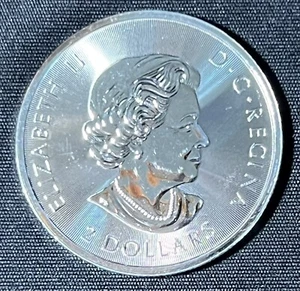 Better Date 2019 Proof-Like Canada 2 Dollars 1/2 Oz. .9999 Silver Polar Bear - Picture 1 of 5