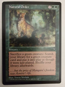 1997 Magic: The Gathering - Visions Natural Order - Foto 1 di 2