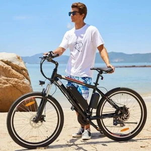 Mountainbike 26 Zoll/27,5 Zoll Elektrofahrrad 250W Ebike Pedelec Mountain ebike - Bild 1 von 29