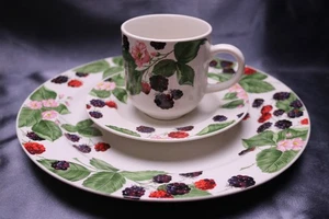 Vintage 3 pc RASPBERRY SOCIAL Tienshan Stoneware Dinner Plate Cup Saucer - Picture 1 of 6