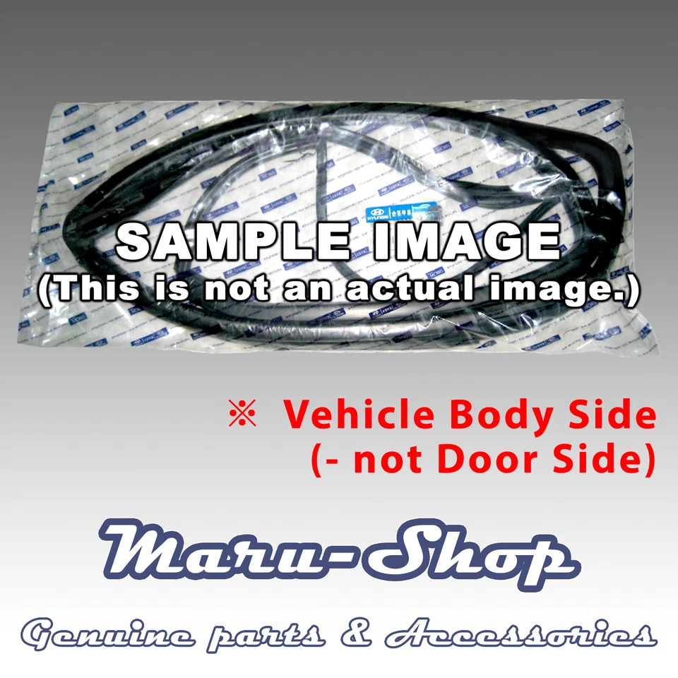 Body Side-Door Rubber Weatherstrip Seal FR/RH for 08~14 Kia Sedona/Carnival - Image 1 of 1