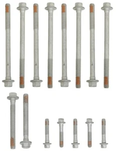 Genuine GM LS Cylinder Head Bolts LS1 LS6 97-03 4.8L 5.3L 5.7L 6.0L LM7 LQ9 LQ4 - Bild 1 von 1