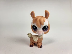 Authentic Littlest Pet Shop Alpaca Llama Tan & White Purple Dot Eyes - Picture 1 of 6