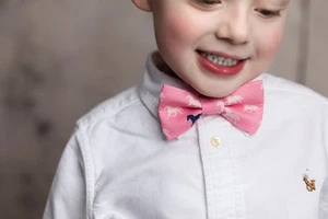 Boys Pink Derby Horses Bow Tie | Pre-Tied Adjustable | Kentucky | Animal Theme - Picture 1 of 38