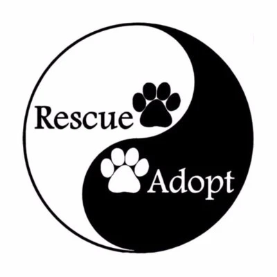 STICKERKISTE Ying yang Rescue Adopt Pfote Hund Aufkleber 2 Stck. JDM Decal Auto Sticker 15 cm