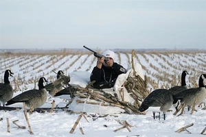 AVERY GHG GROUND FORCE LAYOUT GROUND HUNTING BLIND SNOW COVER NEW!!! - Picture 1 of 1
