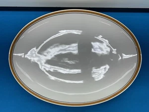 Vintage Franciscan Whitestone Ware "Pickwick"Oval Serving Platter Japan Retired - Picture 1 of 5