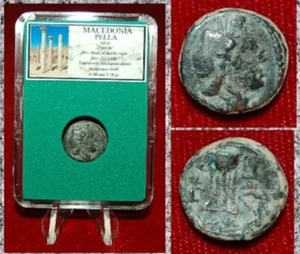 Antike griechische Münze MAZEDONIEN PELLA Kopf des Apollon auf Vorderseite Stativ auf Rückseite - Bild 1 von 4