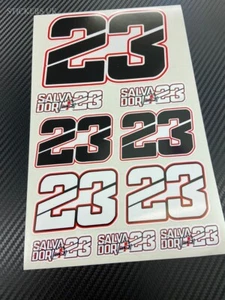 Juego de 23 calcomanías LUCA SALVADORI 10 pegatinas originales carrera moto moto GP - Imagen 1 de 3