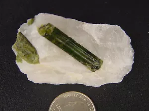 ABERW Natürlicher brasilianischer grüner Turmalin in Quarz Lapidar Präparat 7450K - Bild 1 von 3