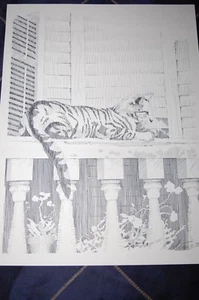 VINTAGE STIFT & TINTE SKIZZE KATZE AUF SCHIENE BLEISTIFT SIGNIERT KARL SCOTT NR. 15 von 100 - Bild 1 von 1