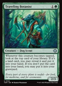 *MtG: 4x Traveling Botanist - Tarkir: Dragonstorm Uncommon - magicman-europe* - Bild 1 von 1