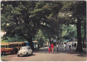 MONTICCHIO - POTENZA - VIALE ALBERATO - FIAT 500 - VIAGG. 1972 -26203- - Picture 1 of 1