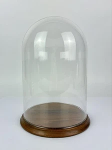 Vintage 13" Glaskuppel Cloche mit Nussbaum Sockel für Display Figur Sammlerstück groß - Bild 1 von 6