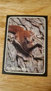 2024 Topps Heritage #75Z-10 Flying Squirrel Zoo's Who Stick-Ons Jeff McNeil Mets - Bild 1 von 6