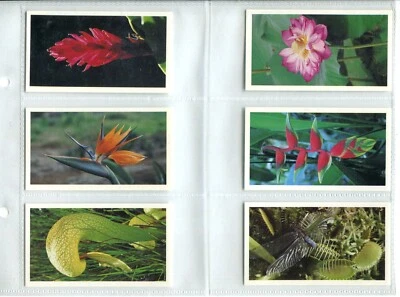 Wonders of Nature 1993 Grandee Cards - Full Set of 30 Cards - Image 1 of 4