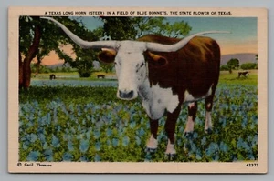 Postal Texas Longhorn Steer in Field of Blue Bonnets Texas State Flower Linen - Imagen 1 de 2
