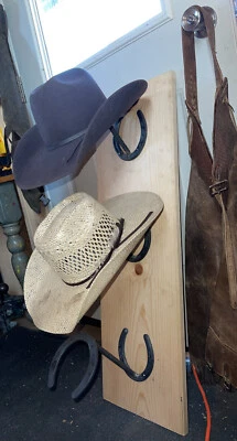 horseshoe hat rack Foto 1 de 2