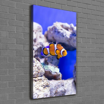 Leinwand-Bild Kunstdruck Hochformat 60x120 Bilder Nemo Fisch - Bild 1 von 4