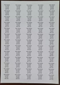 Personalised Address Labels / Stickers Pre Printed 65 Per Sheet (38.1 x 21.2mm) - Picture 1 of 6