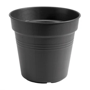 Elho Green Basics Grow Pot 30cm Living Black (6812813043300) - Picture 1 of 1