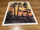 Tom Thomson Pine Trees At  Sunset Numbered Ltd Ed Group of Seven Print 205/777