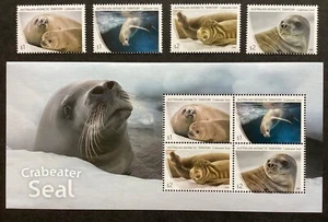 A.A.T 2018 Crabeater Seal 1 xM/S mnh 1 x juego mnh (B404) - Imagen 1 de 2