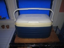 Blue Thermos Cooler - White Cover and Handle 