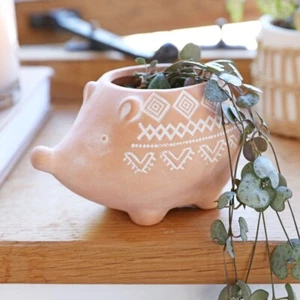 Terracotta Hedgehog Planter, Indoor Plant Pot, Flower Pot Sass & Belle Gift - Picture 1 of 5