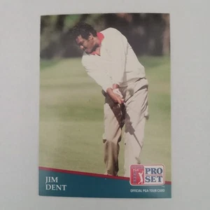 1991 Senior PGA Tour Pro Set Jim Dent #255 ⛳ - Picture 1 of 12