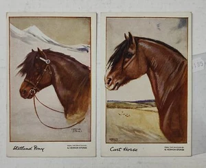 HORSE CHEVAL-LOT 2 POSTCARDS-C41-185 - Picture 1 of 1
