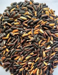 Black Glutinous Rice 4.5Kg High Quality - Picture 1 of 1