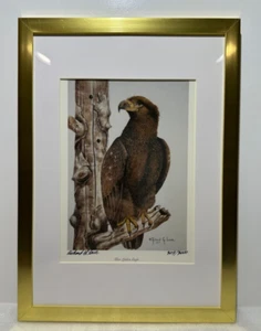 Richard G. Lowe, "Thor Eagle", 9" x 12" signiert #309/3000, gerahmt & mattiert - Bild 1 von 6