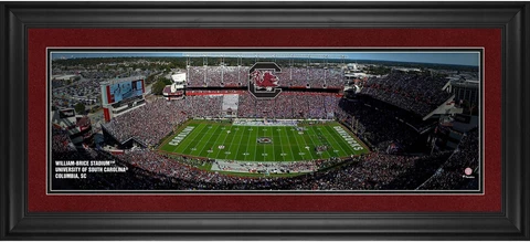 South Carolina Gamecocks Frmd 10" x 30" Williams-Brice Stadium Panoramic Photo Cover