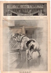 1899 Mail & Express Febrero 18 - Bulldog; Best Americano Dogs ; Brownies; - Picture 1 of 1