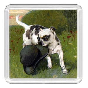 Staffordshire Bullterrier Hund & Hut Acryl Untersetzer Neuheit Getränk Tasse Matte Geschenk - Bild 1 von 1