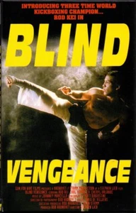 Blind Vengeance Large Hardbox DVD AVV Stephen Lieb 1994 Rod Kei  - Imagen 1 de 1